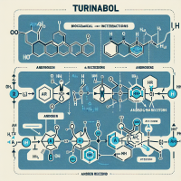 Wie Turinabol auf Androgenrezeptoren wirkt: Biochemische Grundlagen für Sportler