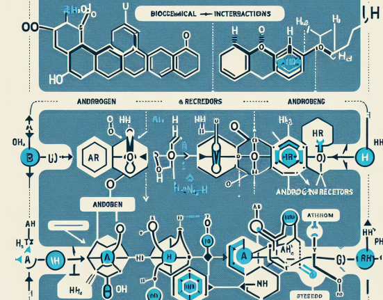 Wie Turinabol auf Androgenrezeptoren wirkt: Biochemische Grundlagen für Sportler